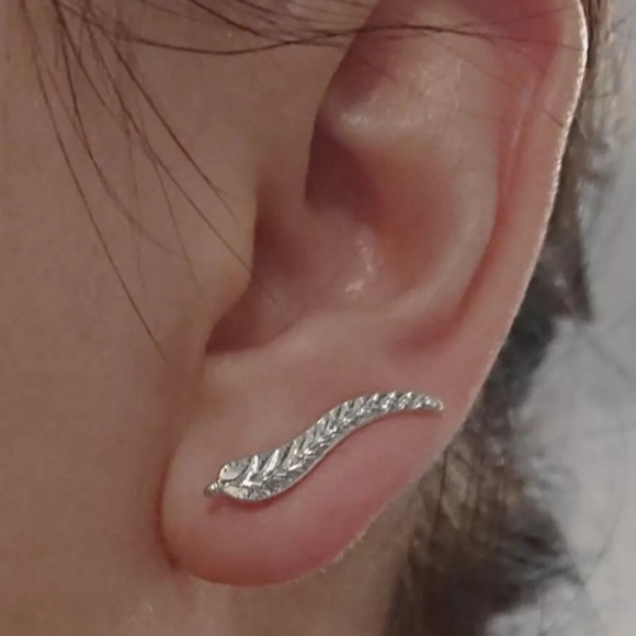 Jewelry - Silver Earrings